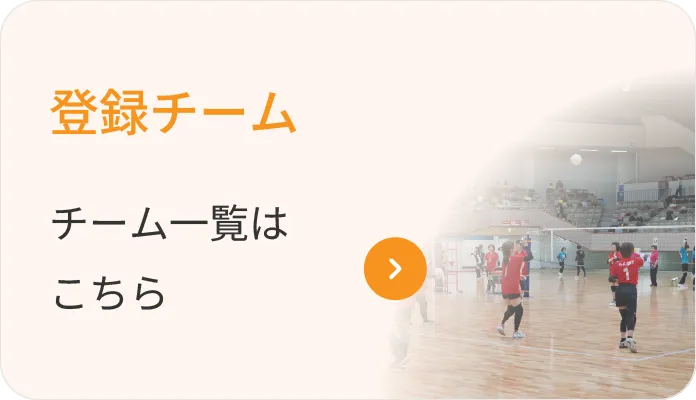 登録チーム